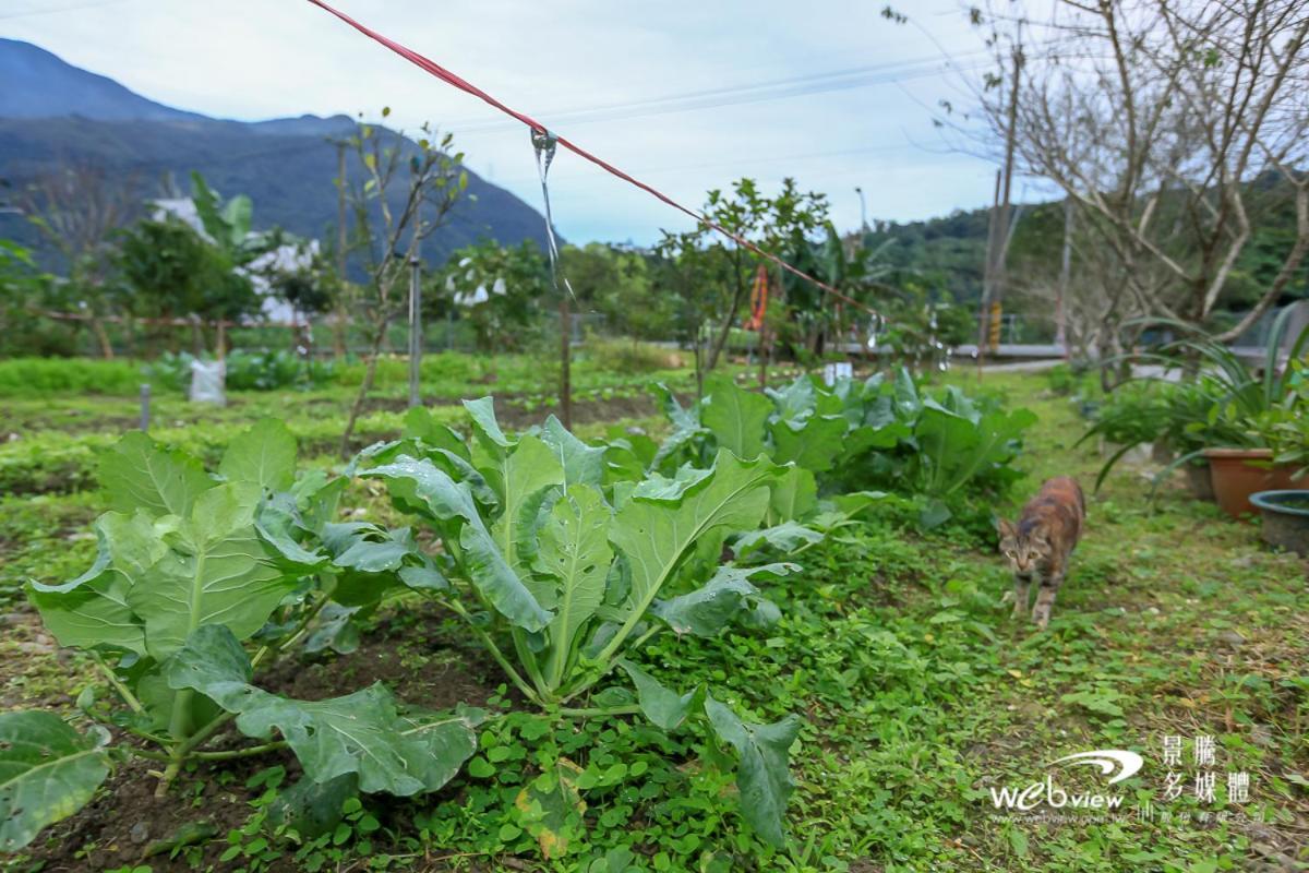Wuju Wusu B&B Wenlan Ngoại thất bức ảnh